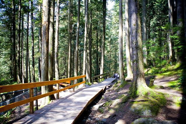 Lynn Canyon Park